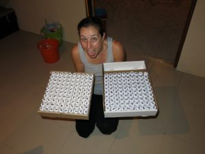 Jill was really excited to finally collect all 256 samples!